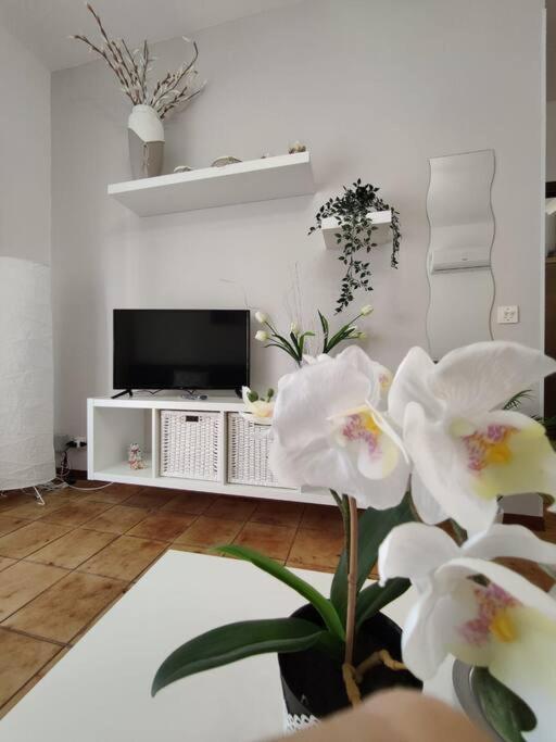 Appartamento Da Nella Giardini-Naxos Zewnętrze zdjęcie
